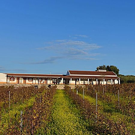 Turismo Rural Pedremoura Guest House Vila Ruiva  Екстериор снимка