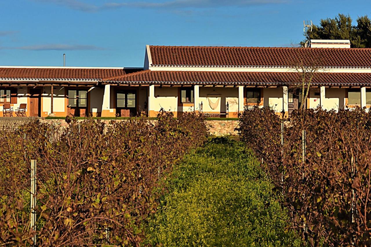 Turismo Rural Pedremoura Guest House Vila Ruiva  Екстериор снимка